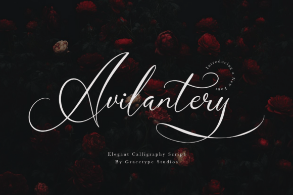 Avilantery: A Font That Breathes Romance Into Design