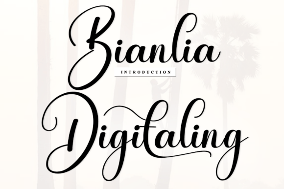 Bianlia Digitaling: A Timeless Script Font for Web Design