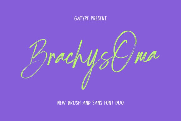 Brachys Oma: A Script Font for Modern Web Design