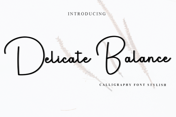 Delicate Balance: A Script Font for Web Design